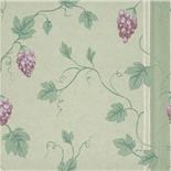 Little Greene London Wallpapers II Chesterfield St. Merlot (50) Little Greene London Wallpapers II Chesterfield St. Merlot (50)