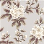 Little Greene London Wallpapers III Grosvenor Street Begonia (111) Little Greene London Wallpapers III Grosvenor Street Begonia (111)