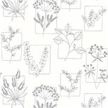 Little Greene 1950s Wallpaper Herbes Line (175) Little Greene 1950s Wallpaper Herbes Line (175)