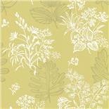 Little Greene 1950s Wallpaper Norcombe Citron (165) Little Greene 1950s Wallpaper Norcombe Citron (165)